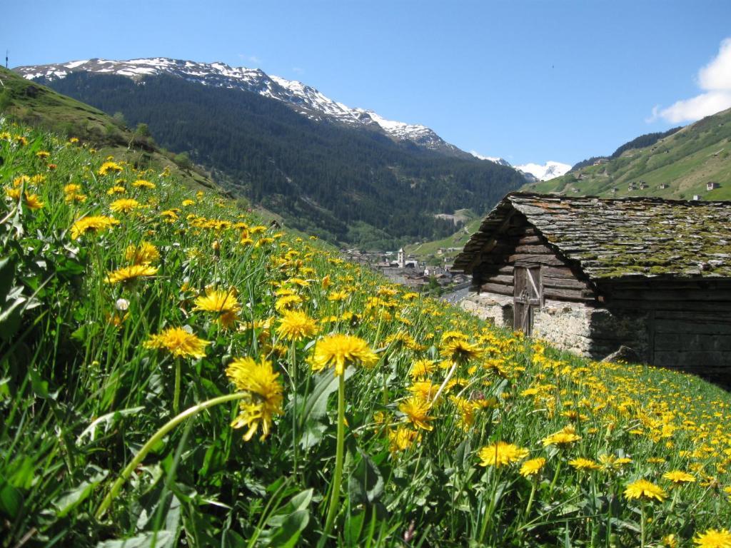 Ferienwohnung Mura Vals Exterior foto