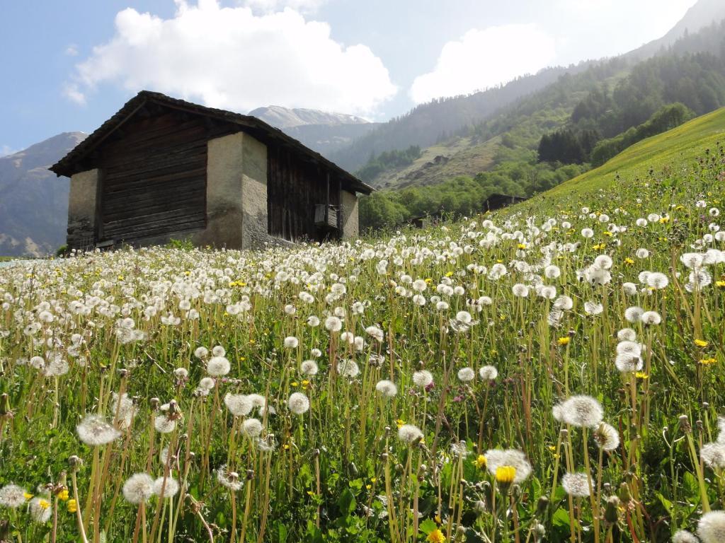 Ferienwohnung Mura Vals Exterior foto